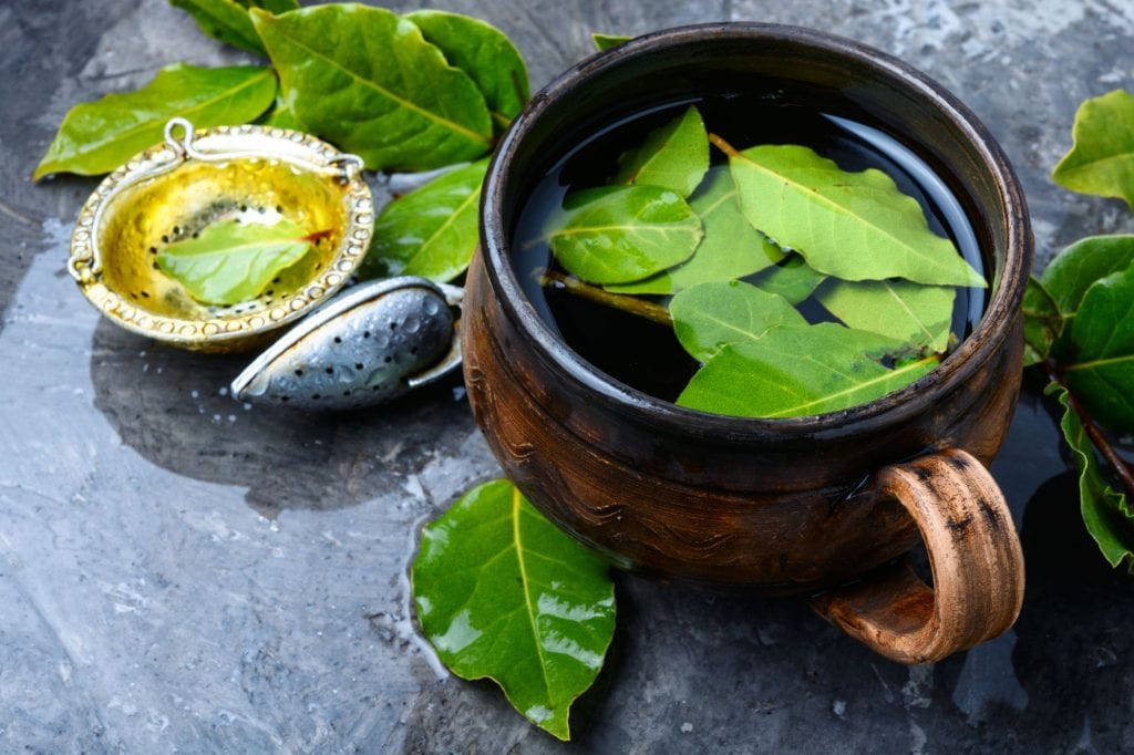 bay leaves brewing in a tea mug