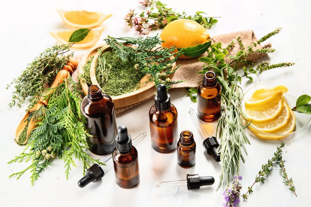 assorted herbs on a counter