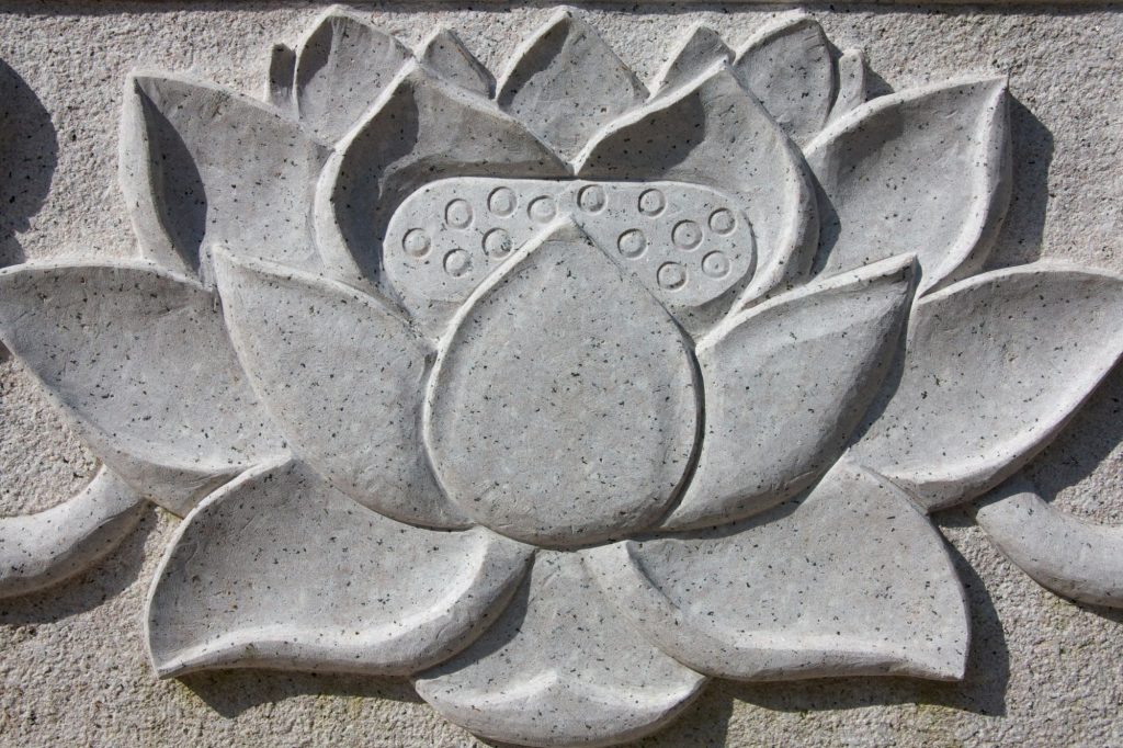 lotus flower symbol