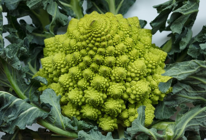 Romanesco broccoli showing natural sacred geometry